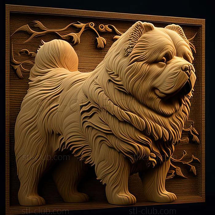 st Chow chow dog